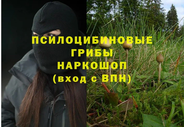 каннабис Богданович
