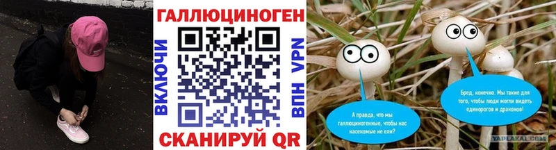 Галлюциногенные грибы Magic Shrooms  Калининград 